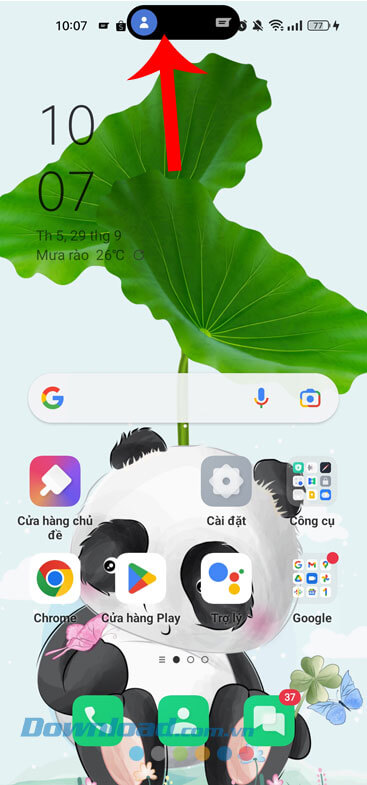 > Tính năng Dynamic Island hiển thị phía trên màn hình