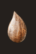 🖼️