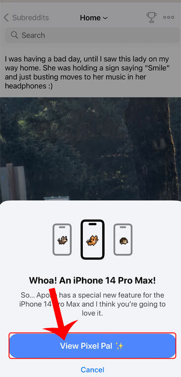 Nhấn vào nút View Pixel Pal