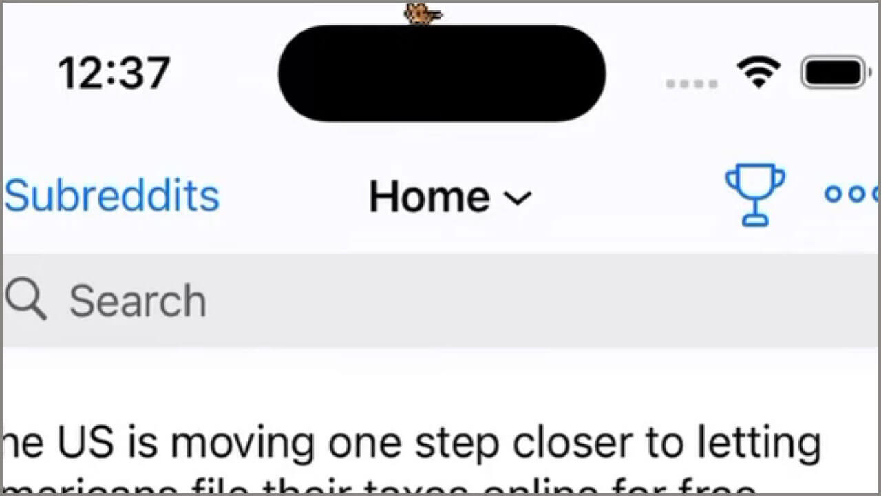 Thú cưng sẽ chạy và hiển thị trên Dynamic Island.