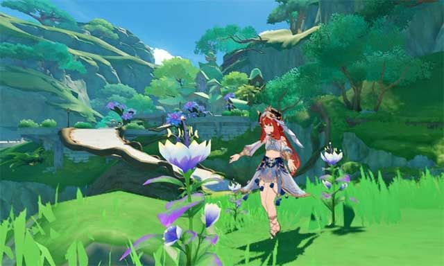 Bạn cần 168 bông hoa Padisarah để thăng cấp cho nhân vật mới Nilou