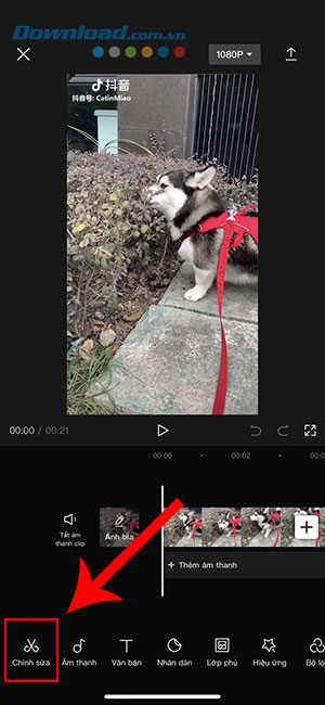 CapCut reverse 4*385702