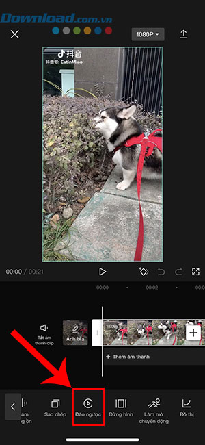 CapCut reverse 5*385698