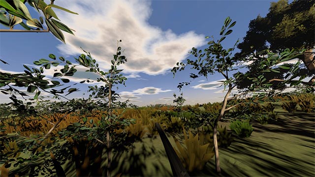 Thoải mái tùy chỉnh trải nghiệm đi săn của bạn trong khi chơi Hunting Life VR: Dove Season
