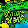 🖼️
