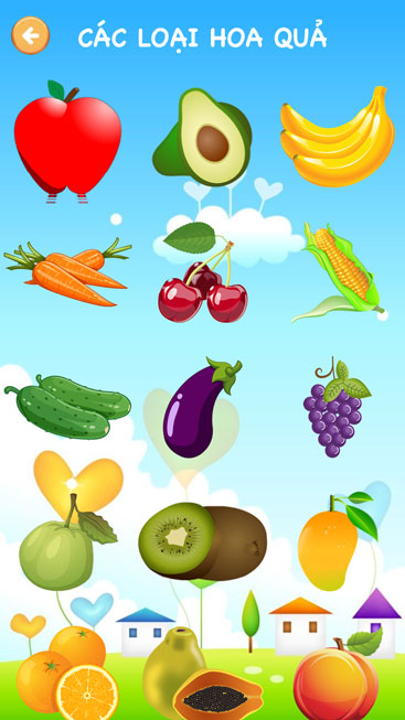 Chủ đề hoa quả