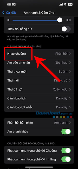 tat rung iphone 5*401287