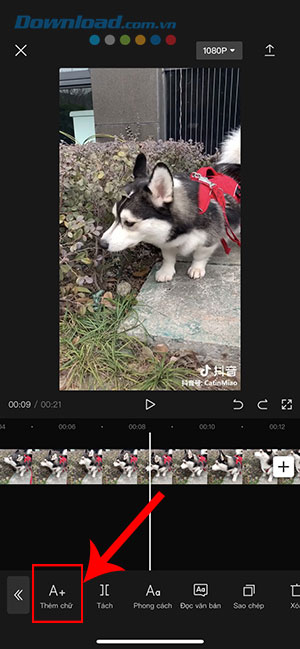 CapCut them giong doc van ban 9*401531