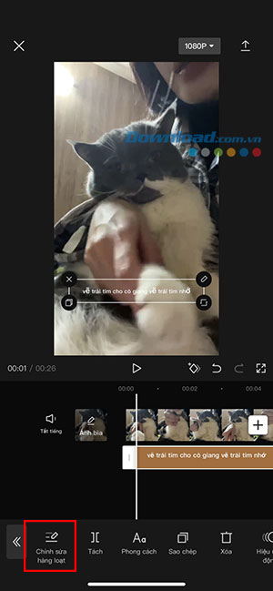 CapCut auto sub 11*401635