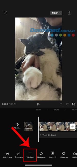 CapCut auto sub 3*401631