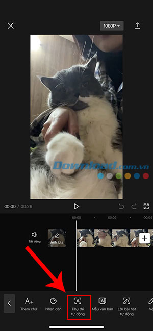 CapCut auto sub 4*401632