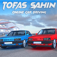 Tofas Sahin: Online Car Driving