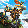 🖼️