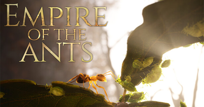 Empire of the AntsGame cuộc chiến sinh tồn của loài kiến
