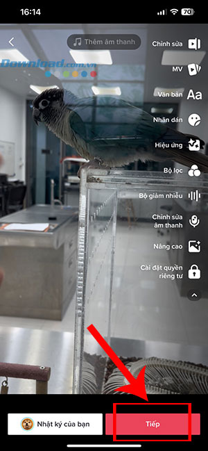 TikTok trickster voice 7*407903