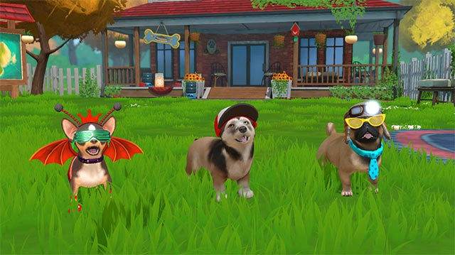 Kết bạn với 9 giống chó và hàng trăm biến thể khác nhau trong Little Friend: Puppy Island game