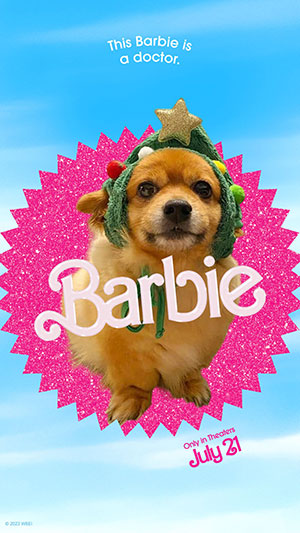 Ảnh mang phong cách poster Barbie đang gây sốt mạng xã hội