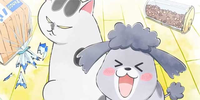 With a Dog AND a Cat, Every Day is Fun