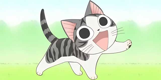 Chi's Sweet Home (Mái ấm của Chi)