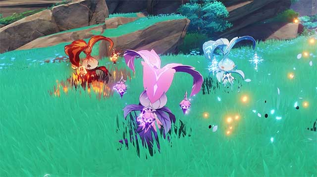 Whopperflower là đối thủ sớm nhất trong Teyvat