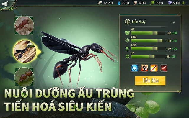 Nuôi dưỡng ấu trùng, tiến hóa siêu kiến
