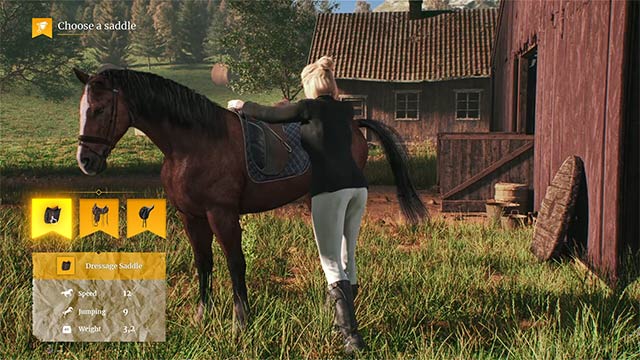 Tùy chỉnh nhân vật và chú ngựa bằng nhiều item, phụ kiện thú vị trong My Horse: Bonded Spirits