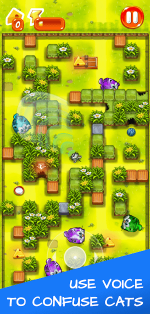 Sử dụng tiếng hét của mình để khiến lũ mèo bối rối