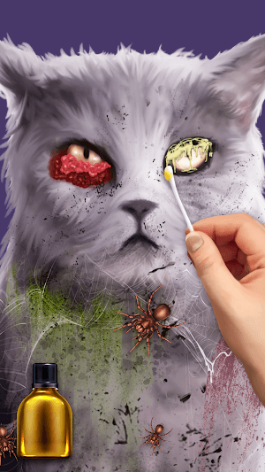 Chọn đúng công cụ để điều trị cho mèo