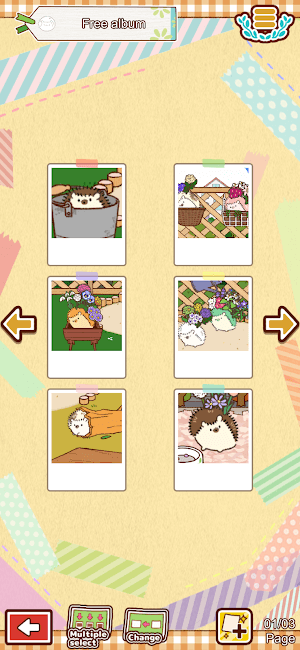 Tạo album đáng yêu của bạn với những chú nhím