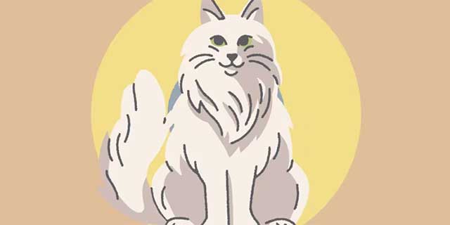 Vỗ mèo đúng thời điểm