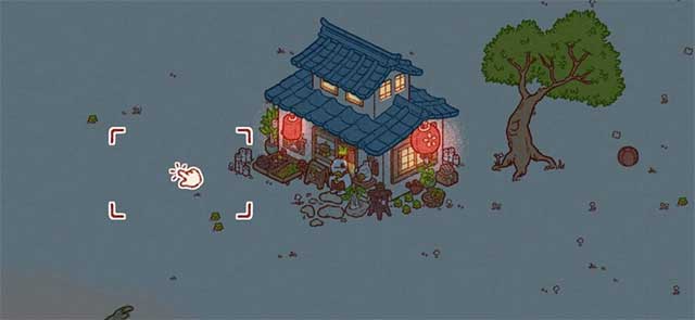 Tương tác với những chú thỏ dễ thương