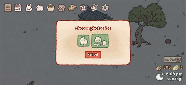 Tùy chọn giữa chụp ảnh nhỏ và chụp ảnh lớn