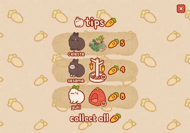 Thỏ sẽ để lại tiền boa cho bạn khi chúng xuất hiện