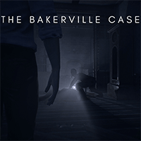 The Bakerville Case