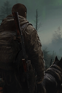 🖼️