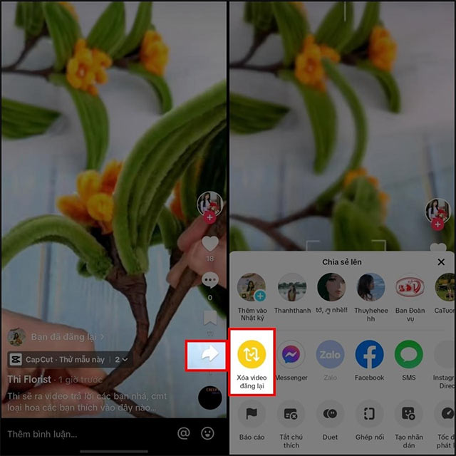 Xóa video đăng lại