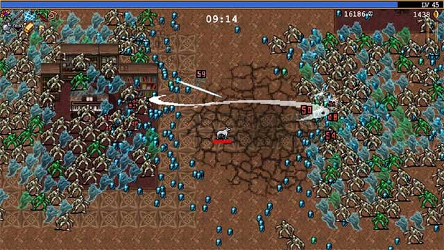 Relic này sẽ mở ra một hình dạng tiến hóa mới cho chú chó O'Sole Meeo