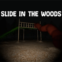 Slide in the Woods