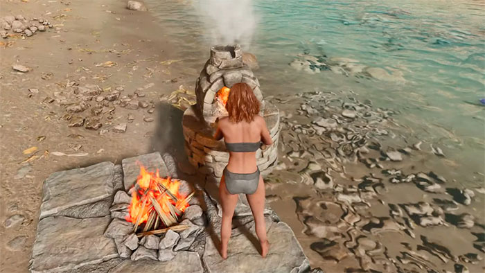 Nấu các nguyên liệu trong Cooking Pot hoặc Industrial Cooker để tạo ra Kibble