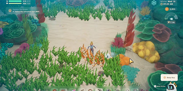 Thu thập tảo bẹ, item, kho báu, nguyên liệu thô... vì mọi thứ đều hữu ích trong Coral Island
