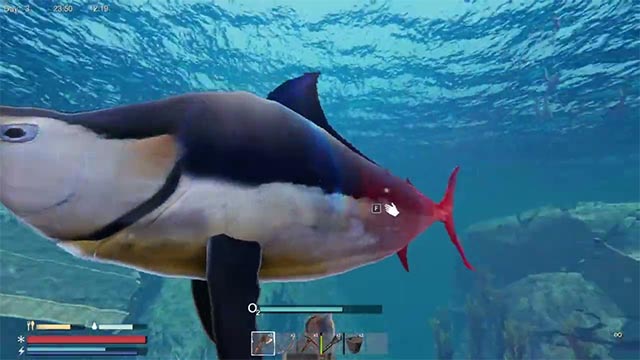 Bắt đầu từ những con cá nhỏ và dần đánh bắt những loài cá khổng lồ trong Sunkenland