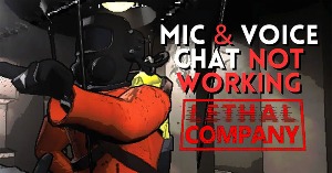 🖼️