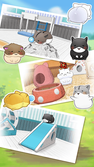 Vô số loài hamster khác nhau