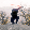 🖼️