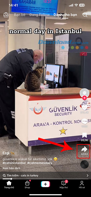 tao video reaction TikTok 1*448653