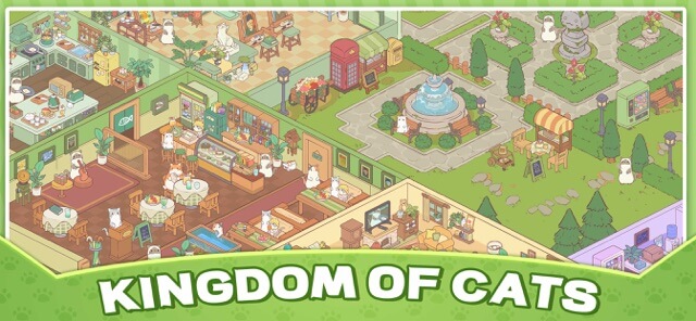 Khám phá vương quốc mèo