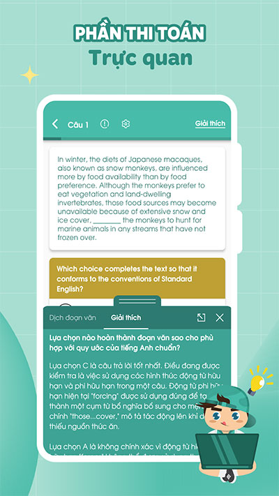 Migii Skool 4*453900