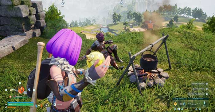 Bạn sẽ cần giảm HP của người đó xuống một chút để dễ bắt hơn