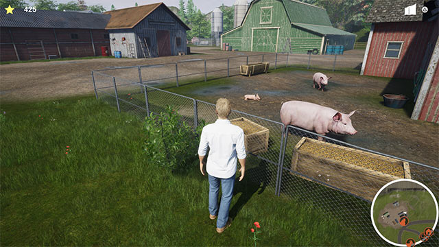 Vào vai bác sĩ thú y với nhiệm vụ khám chữa bệnh cho các loài gia súc gia cầm trong My Life: Farm Vet