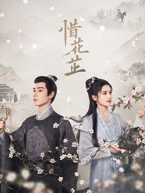 Poster phim Tích hoa chỉ